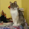 Отзыв от Софья Петрова